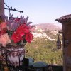 IMG_0102 (Custom)